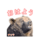 のぼりべつクマ牧場 公式スタンプ第2弾（個別スタンプ：6）