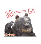 のぼりべつクマ牧場 公式スタンプ第2弾（個別スタンプ：8）