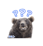 のぼりべつクマ牧場 公式スタンプ第2弾（個別スタンプ：11）