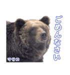 のぼりべつクマ牧場 公式スタンプ第2弾（個別スタンプ：13）