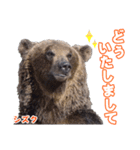 のぼりべつクマ牧場 公式スタンプ第2弾（個別スタンプ：14）
