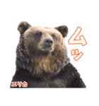 のぼりべつクマ牧場 公式スタンプ第2弾（個別スタンプ：16）