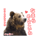 のぼりべつクマ牧場 公式スタンプ第2弾（個別スタンプ：17）