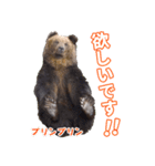 のぼりべつクマ牧場 公式スタンプ第2弾（個別スタンプ：18）