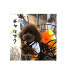 小太郎ピノスタンプ（個別スタンプ：2）