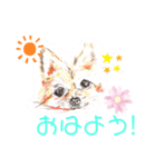 ポメわん＆スコにゃん（個別スタンプ：1）