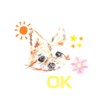 ポメわん＆スコにゃん（個別スタンプ：2）