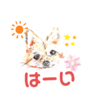 ポメわん＆スコにゃん（個別スタンプ：3）