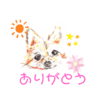 ポメわん＆スコにゃん（個別スタンプ：4）