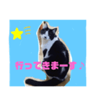 ぶち丸＆マールモ③挨拶編（個別スタンプ：8）