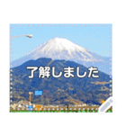 【長文OK】富士山（実写）（個別スタンプ：2）