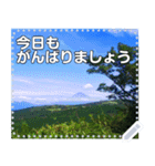 【長文OK】富士山（実写）（個別スタンプ：8）