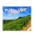 【長文OK】富士山（実写）（個別スタンプ：10）