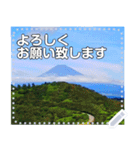 【長文OK】富士山（実写）（個別スタンプ：12）