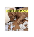 長崎弁をしゃべるわんこ〜part3（個別スタンプ：15）