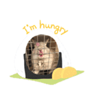 モチくんの気持ち（個別スタンプ：4）