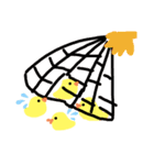 へらぴよ（個別スタンプ：15）