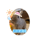 日常で使えるハルちゃんスタンプ（個別スタンプ：8）