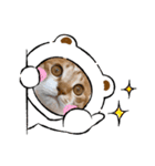＊もなかのスタンプ5＊（個別スタンプ：4）