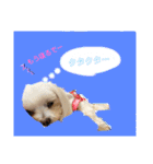 m#m（個別スタンプ：1）