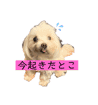 m#m（個別スタンプ：2）