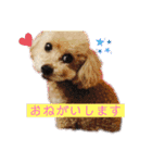m#m（個別スタンプ：3）