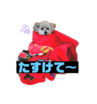 m#m（個別スタンプ：4）
