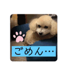 m#m（個別スタンプ：5）