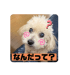 m#m（個別スタンプ：6）