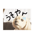 m#m（個別スタンプ：8）