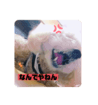 m#m（個別スタンプ：9）