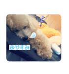 m#m（個別スタンプ：10）