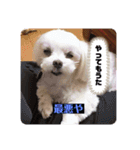 m#m（個別スタンプ：11）