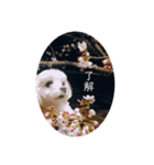 m#m（個別スタンプ：12）