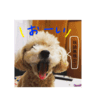 m#m（個別スタンプ：14）