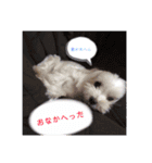 m#m（個別スタンプ：15）