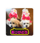 m#m（個別スタンプ：16）