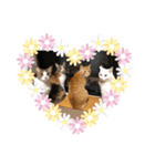 我が家の猫にゃんスタンプ（個別スタンプ：3）