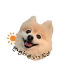 くぅちゃんの日常！（個別スタンプ：4）
