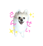 くぅちゃんの日常！（個別スタンプ：7）