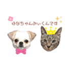 はなちゃん＆ みぃくん（個別スタンプ：1）