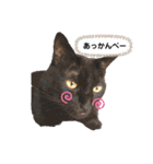 misamisaスタンプ2（個別スタンプ：11）