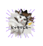 misamisaスタンプ2（個別スタンプ：21）