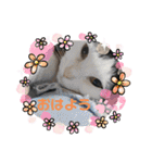 misamisaスタンプ2（個別スタンプ：22）