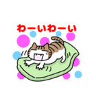 シマサラこれくしょん（個別スタンプ：2）