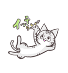 ティオとねこたち。（個別スタンプ：23）