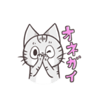 ティオとねこたち。（個別スタンプ：31）