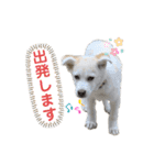 はなこちゃんスタンプ その1（個別スタンプ：6）
