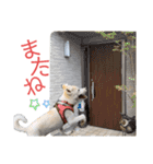 はなこちゃんスタンプ その1（個別スタンプ：10）