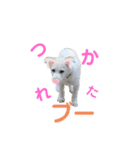 はなこちゃんスタンプ その1（個別スタンプ：26）